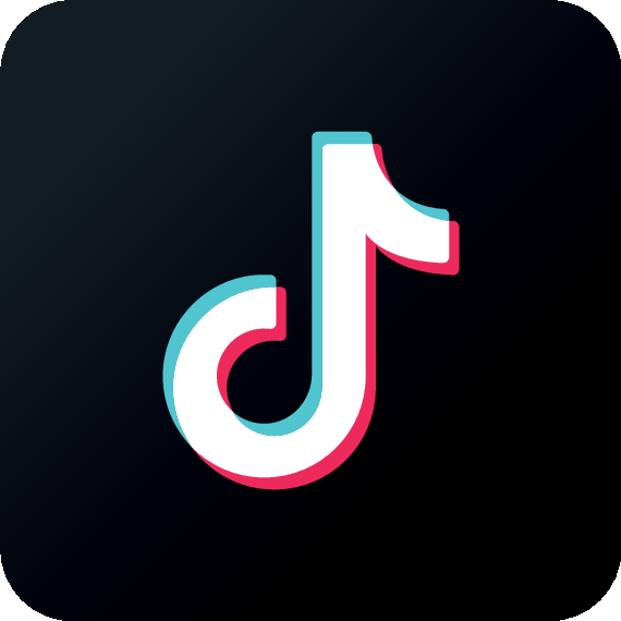 TikTok Icon